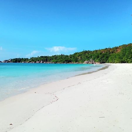 Le Chevalier Bay Guesthouse Anse Lazio Luaran gambar