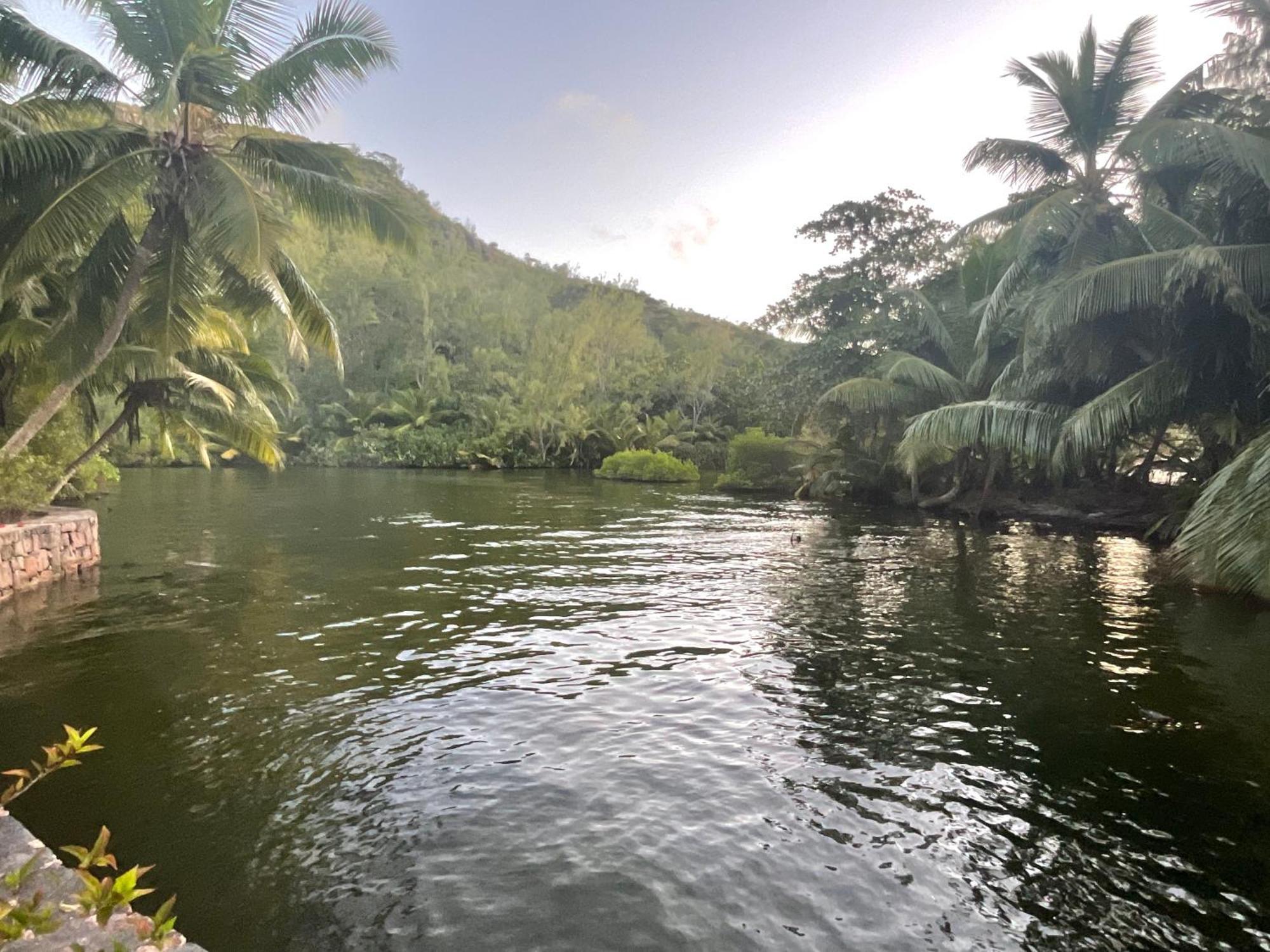 Le Chevalier Bay Guesthouse Anse Lazio Luaran gambar