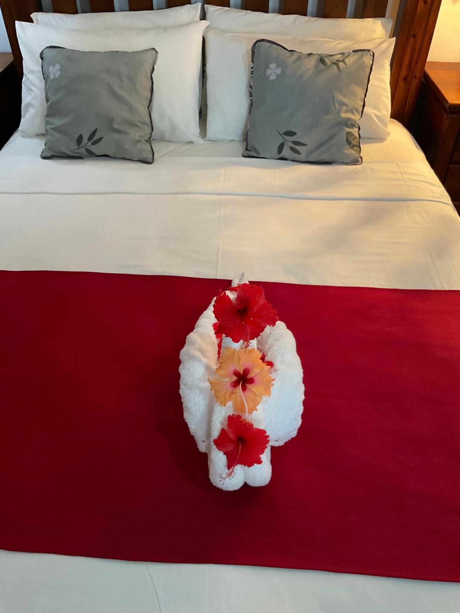 Le Chevalier Bay Guesthouse Anse Lazio Luaran gambar