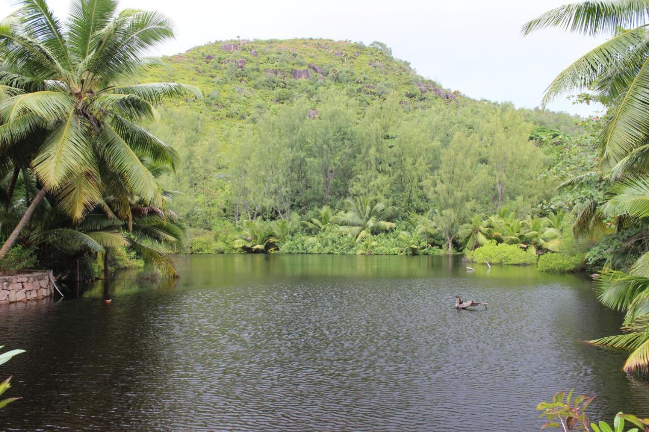 Le Chevalier Bay Guesthouse Anse Lazio Luaran gambar