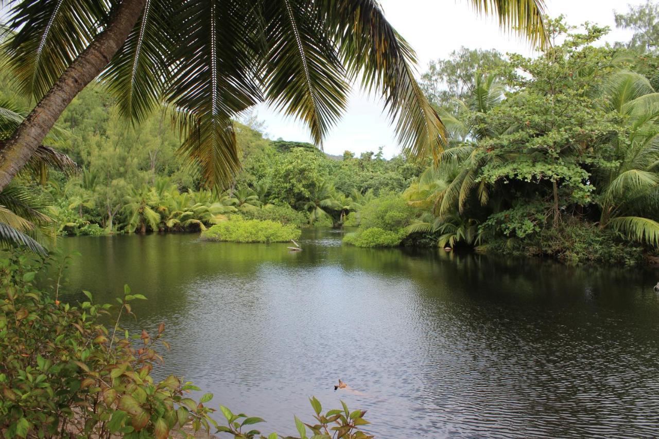 Le Chevalier Bay Guesthouse Anse Lazio Luaran gambar