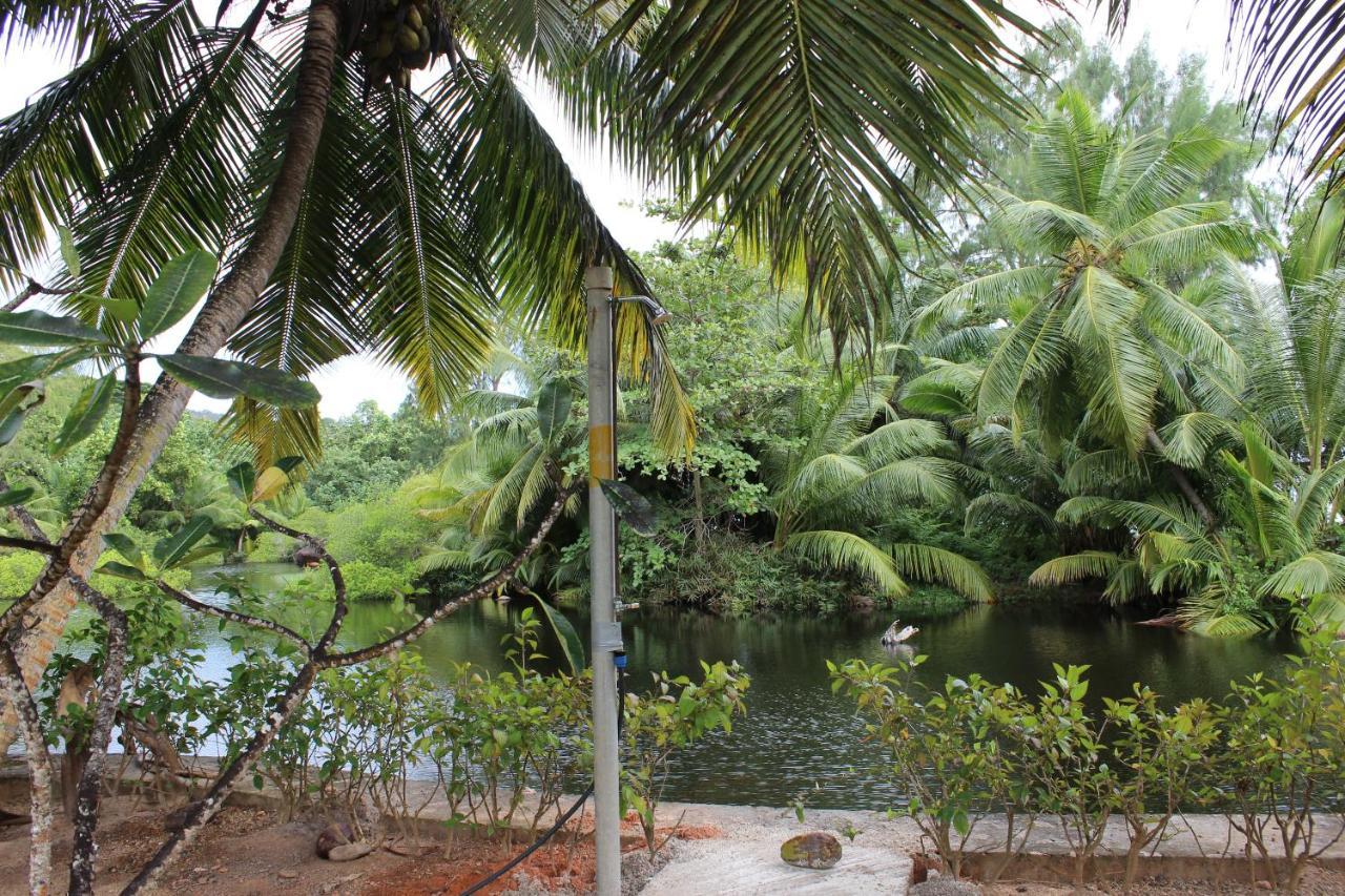 Le Chevalier Bay Guesthouse Anse Lazio Luaran gambar